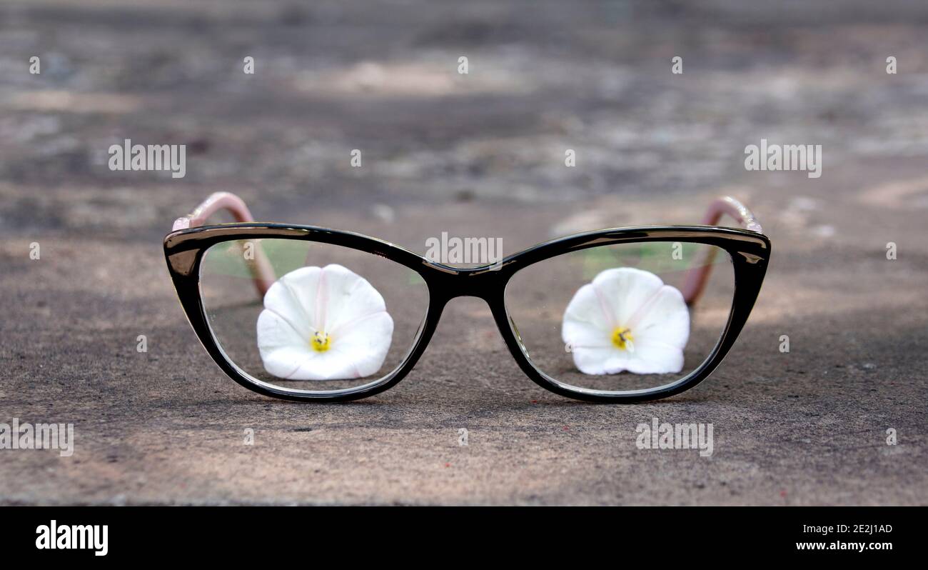 I bicchieri sono a terra e i fiori bianchi sono visibili attraverso le lenti. Foto Stock