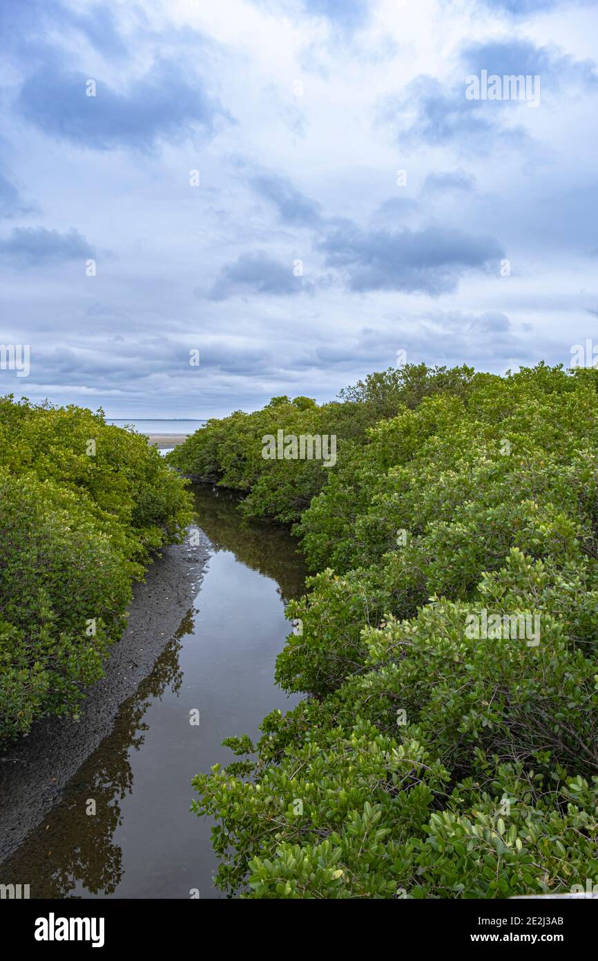 Da Mullet Creek a Old Tampa Bay, Safety Harbor, Florida Foto Stock