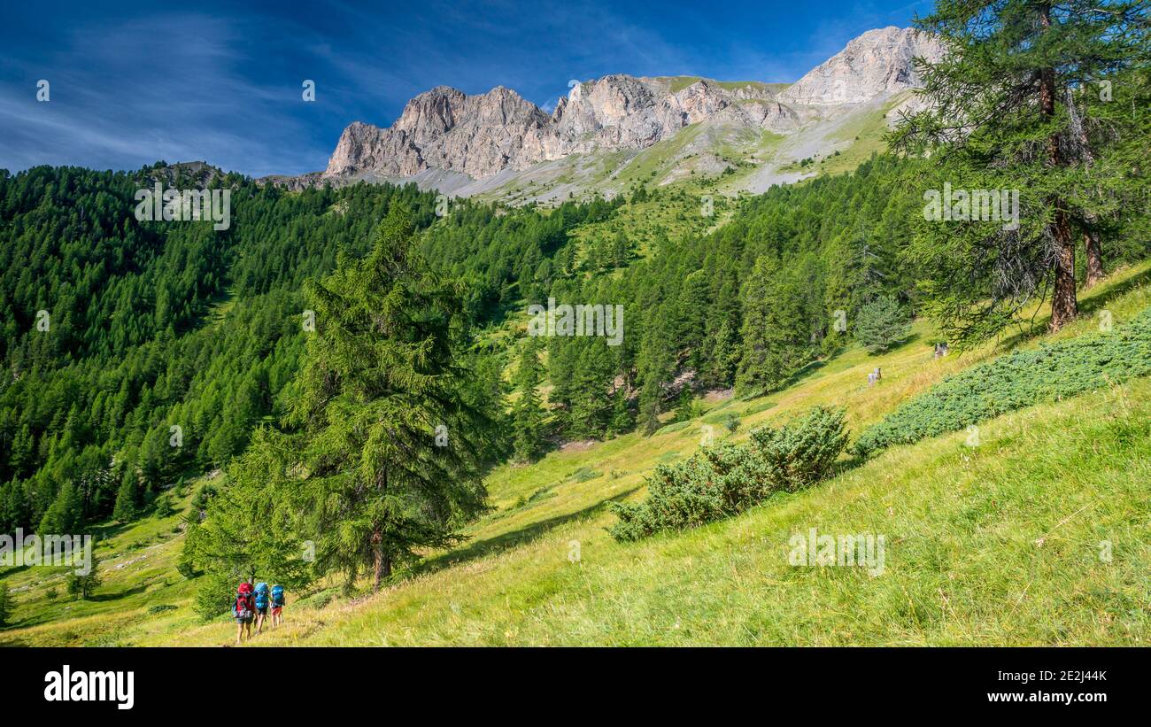 Famiglia a piedi, Tour du Queyras, Queyras, Alpi francesi, Francia Foto Stock