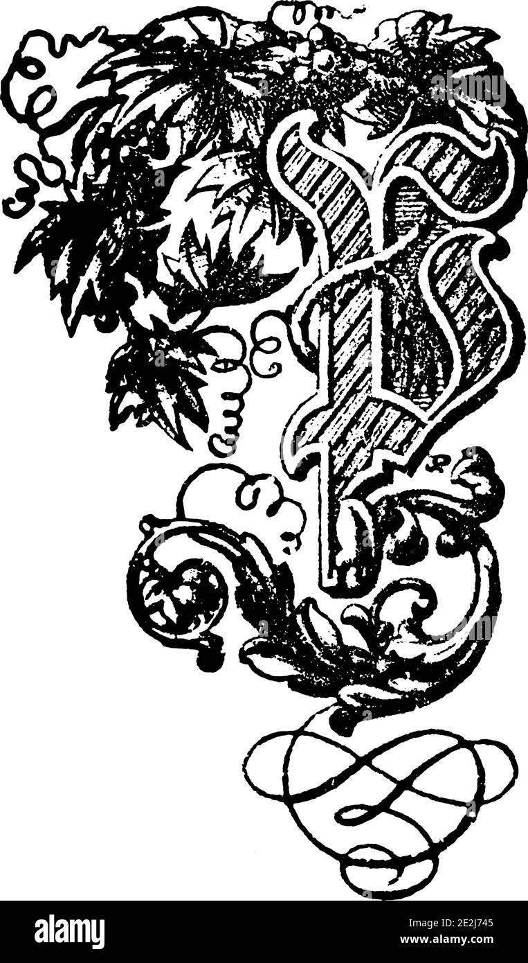 Decorazione floreale ornamentale maiuscola P. incisione d'epoca o disegno a linee. Illustrazione Vettoriale