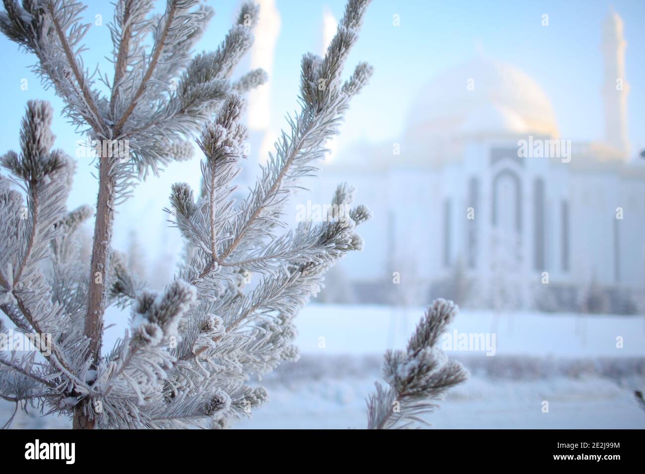 Paesaggio urbano in inverno con brina sull'albero. Foto Stock
