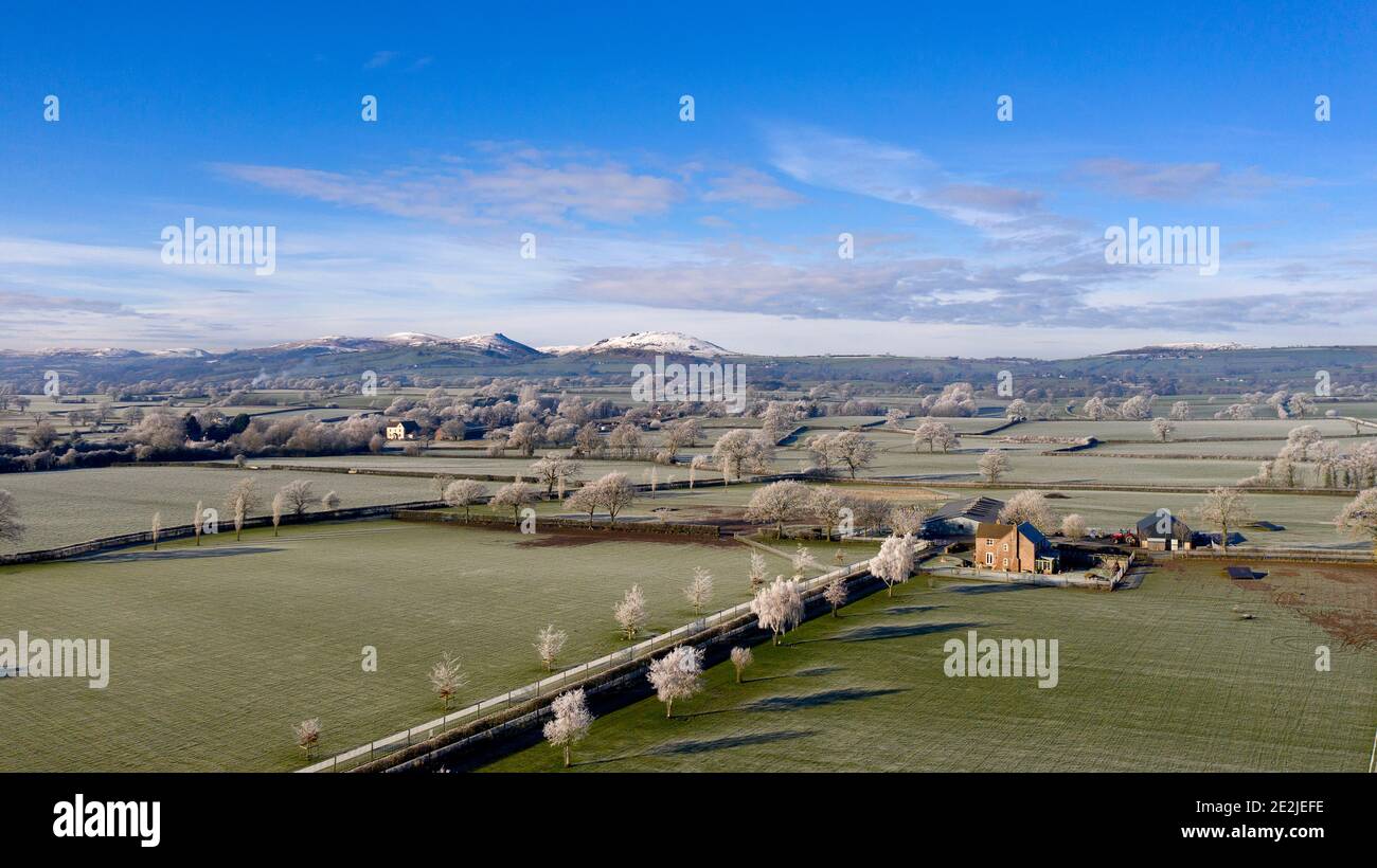 Brina su Wenlock Edge in Shropshire UK Copyright 2020 © Sam Bagnall Foto Stock