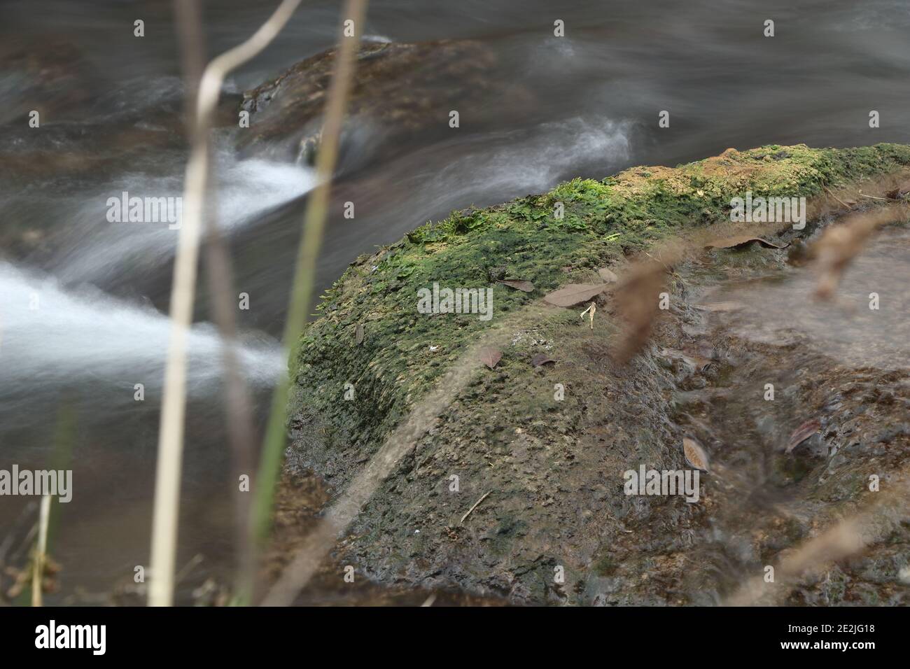 panoramica di rapide d'acqua bianca in un torrente Foto Stock