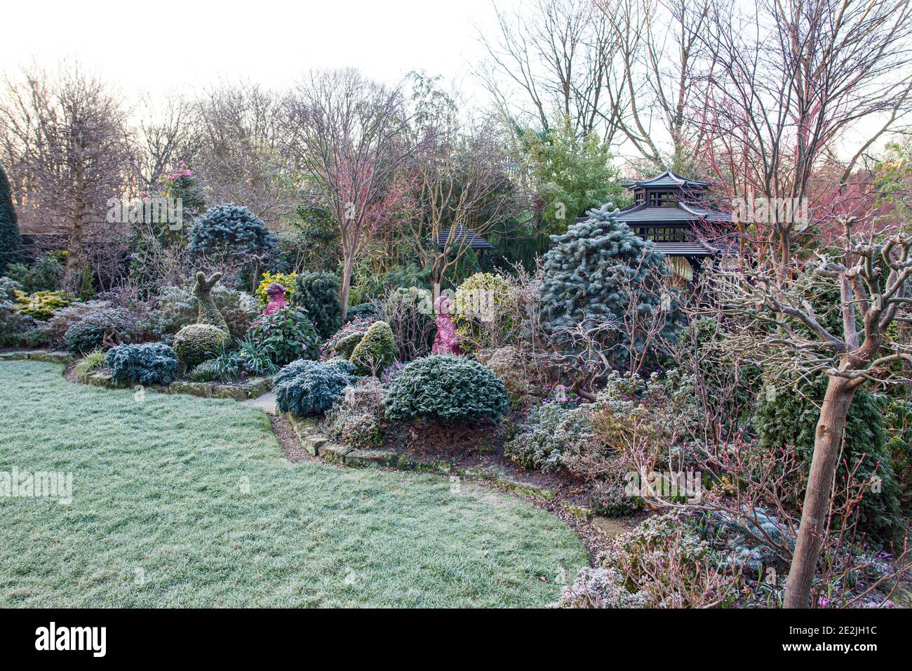 Bordo di arbusti topiari e tagliati al giardino Four Seasons in gelo Foto Stock