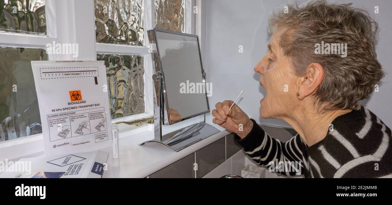 Inghilterra, Regno Unito. 2021. Donna anziana che usa un tampone del corronavirus Home Test Kit in procinto di prendere il naso e la gola tampone di prova mentre guardando in un mi Foto Stock