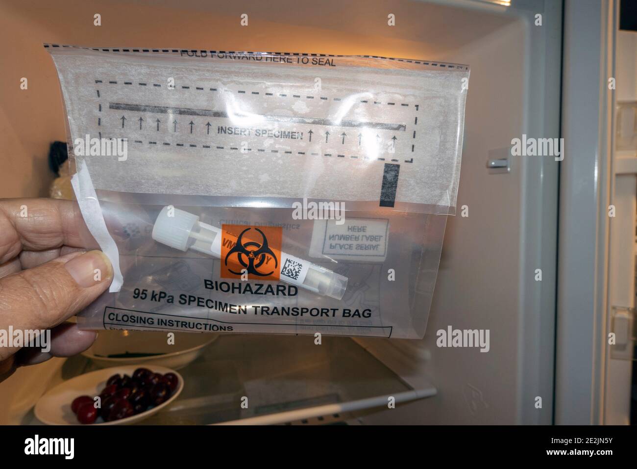 Inghilterra, Regno Unito. 2021. Tampone per analisi del coronavirus in un flaconcino di plastica contenuto in un sacchetto a bionocciola in un frigorifero per mantenerlo fresco prima di essere prelevato per l'analisi. Foto Stock
