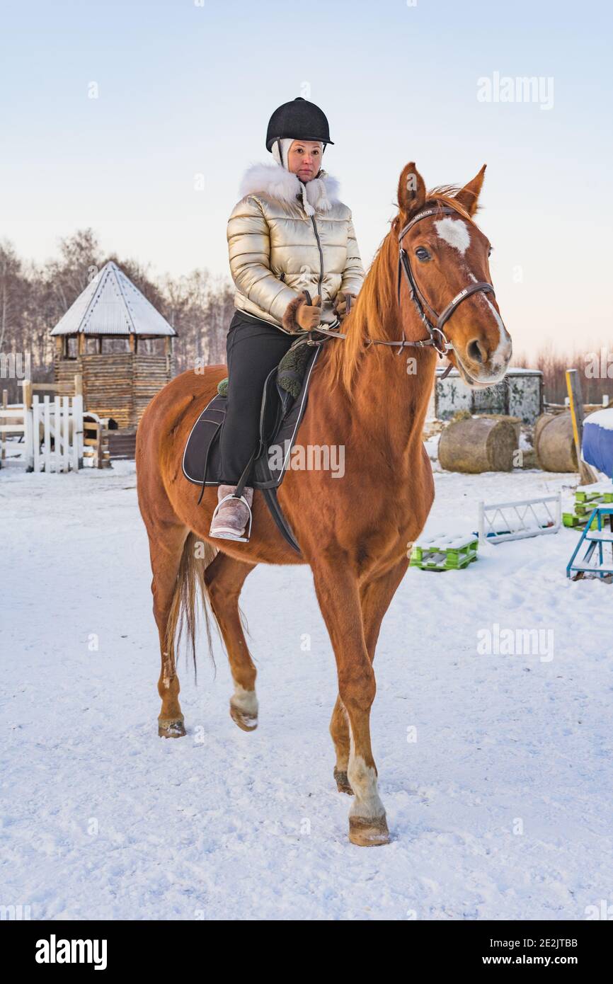 Bella donna caucasica con un cavallo sulla natura in inverno sulla neve. Spazio per il testo. Foto Stock