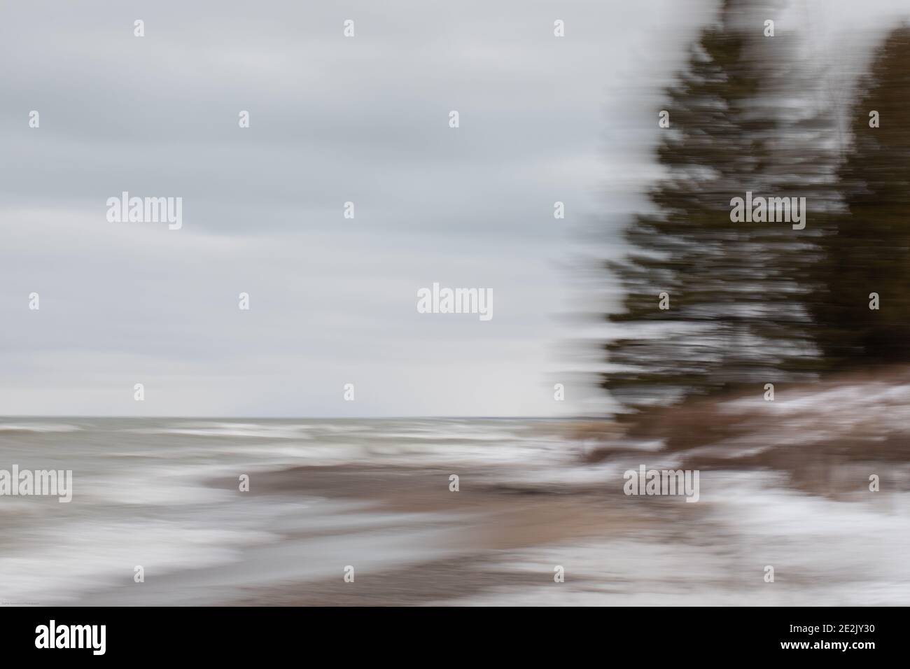 Foto intenzionale di movimento della fotocamera di alberi su una spiaggia. Vicino a Southampton, Ontario, Canada Foto Stock