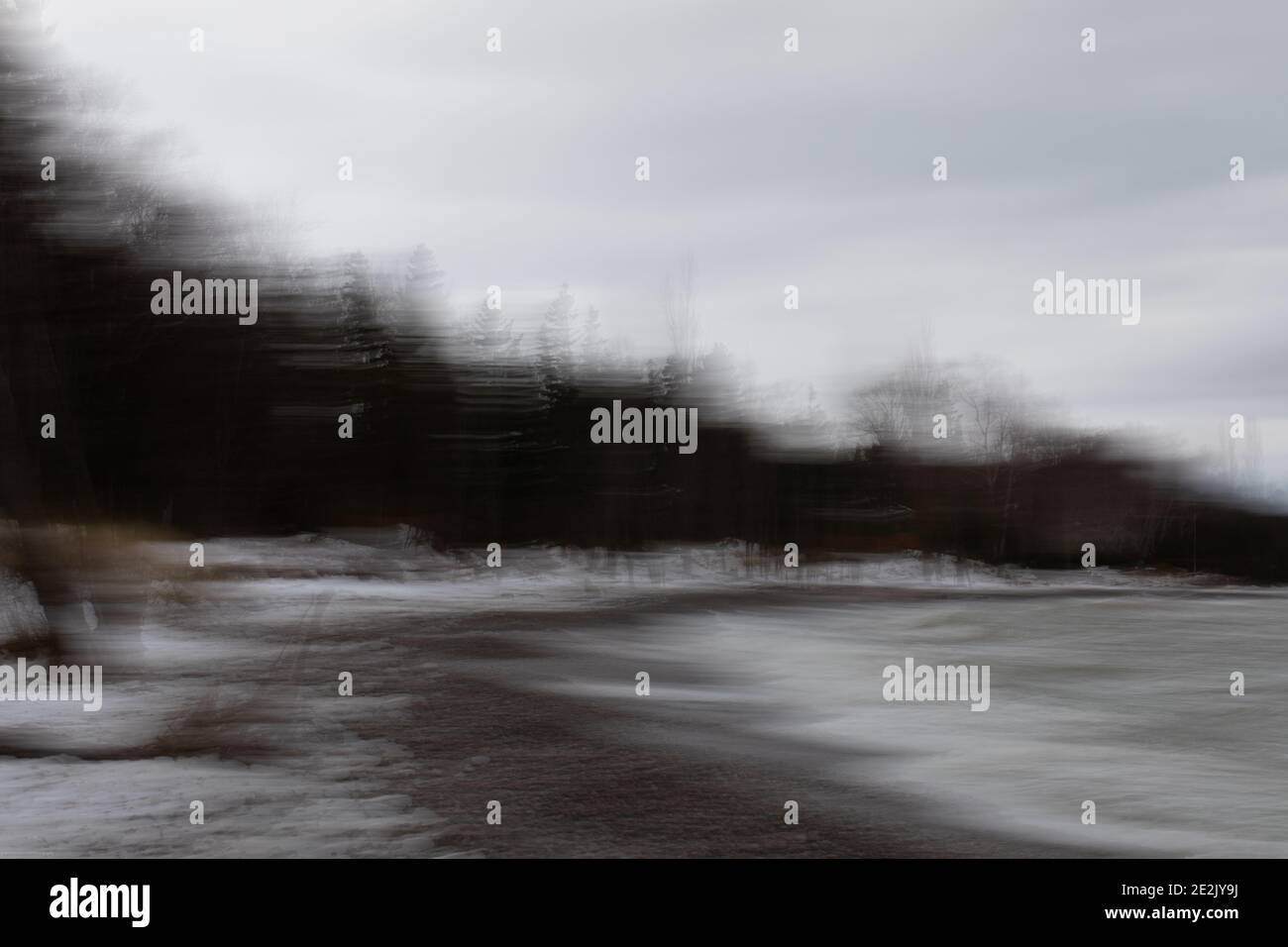 Foto intenzionale di movimento della fotocamera di alberi su una spiaggia. Vicino a Southampton, Ontario, Canada Foto Stock