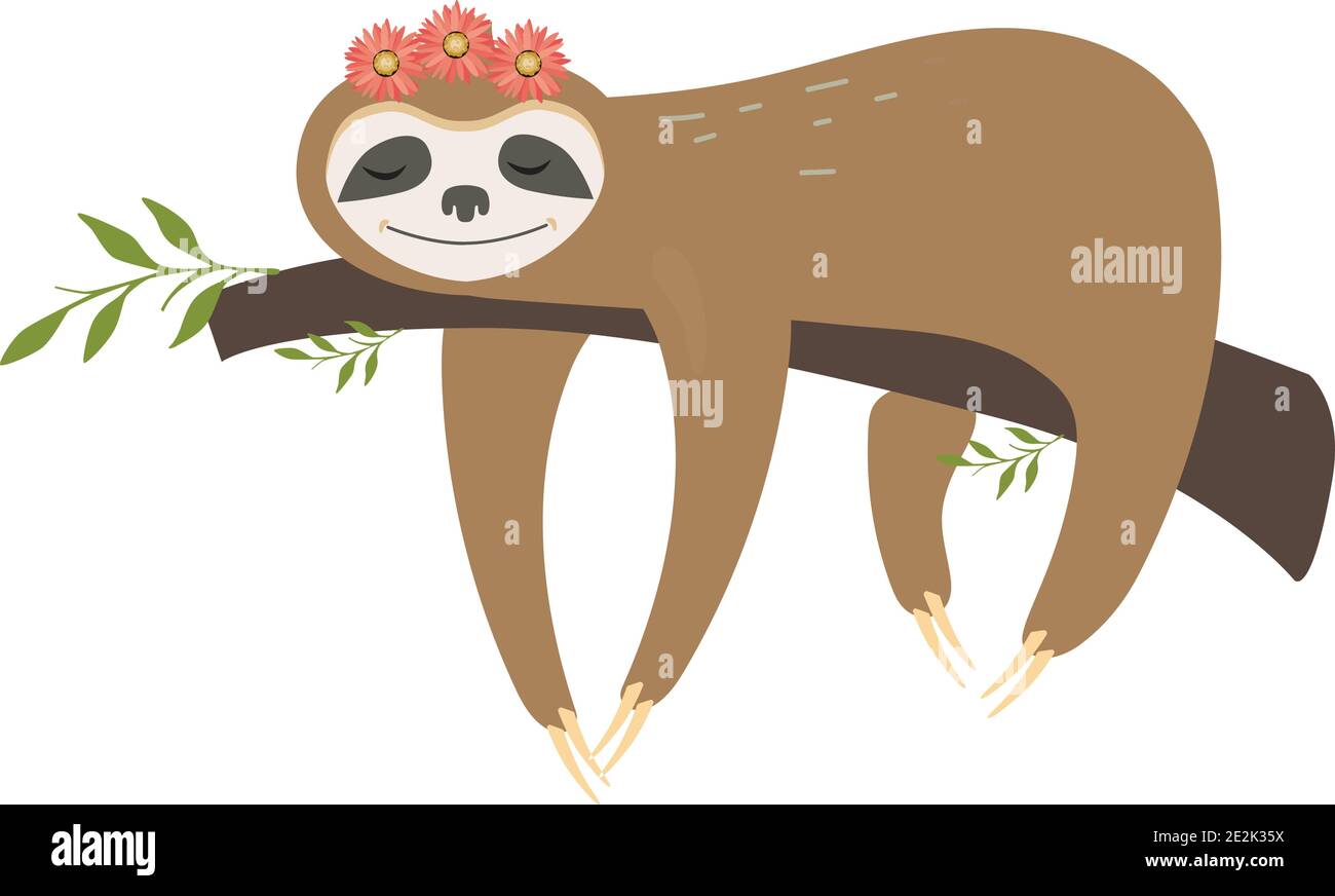 Vettore sloth Illustrazione Vettoriale