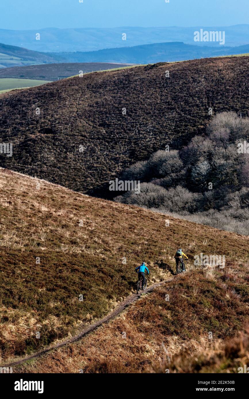 Un gruppo di mountain bike cavalcano un sentiero nel Parco Nazionale di Exmoor. Foto Stock