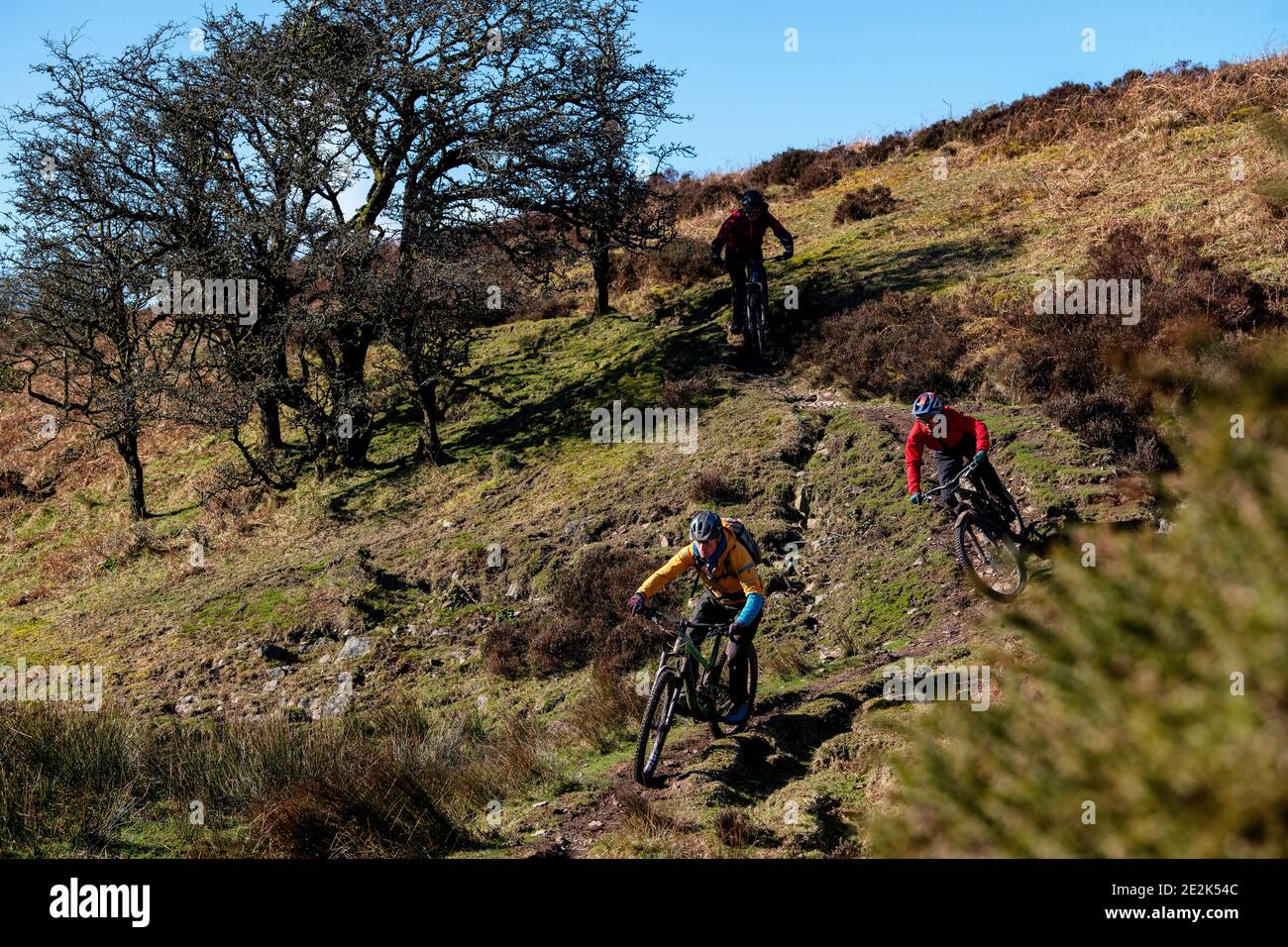 Tre uomini cavalcano mountain bike su un sentiero nel Parco Nazionale di Exmoor. Foto Stock