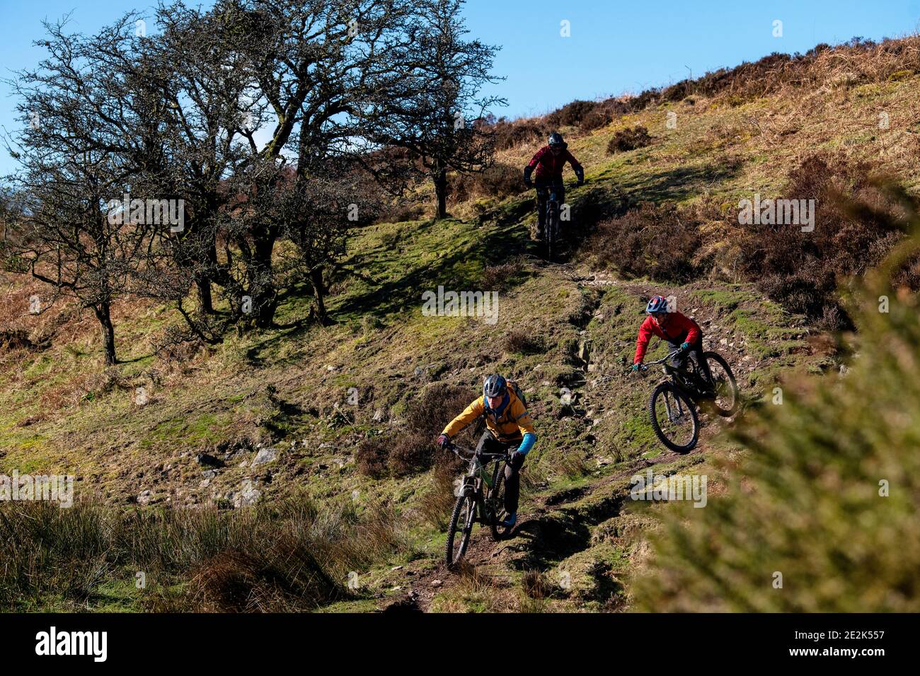Tre uomini cavalcano mountain bike su un sentiero nel Parco Nazionale di Exmoor. Foto Stock