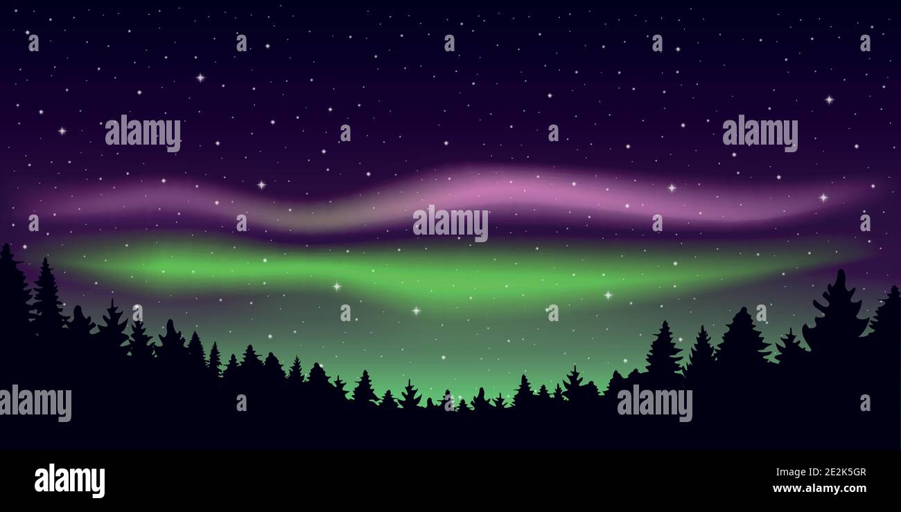 aurora boreale belle luci polari nel cielo stary in foresta illustrazione vettoriale EPS10 Illustrazione Vettoriale