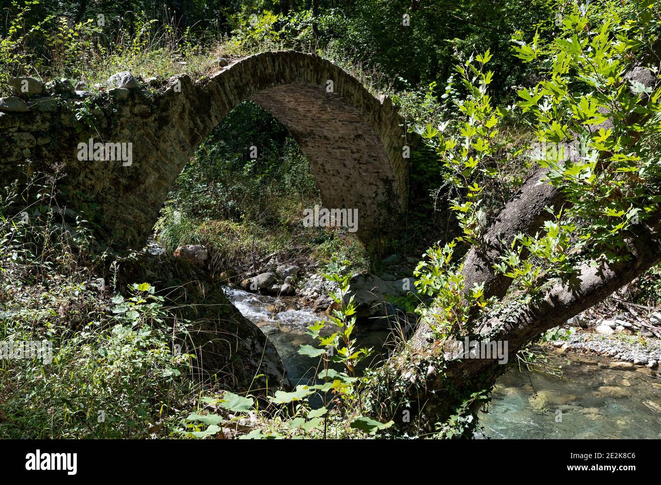 Vista di un tradizionale ponte in pietra in Epiro, Grecia Foto Stock