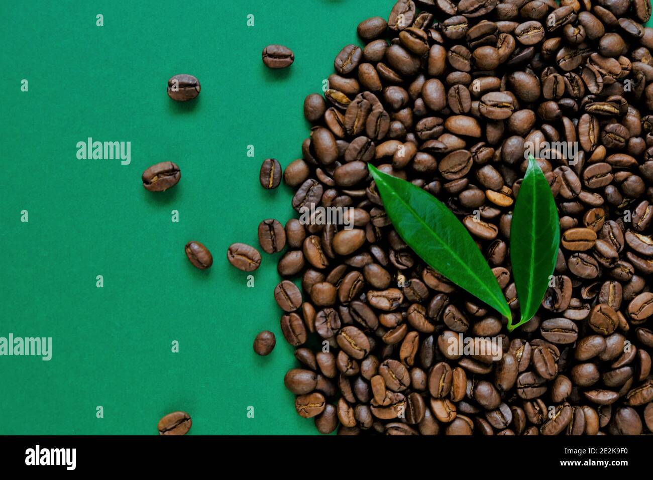 Chicchi di caffè e foglie verdi da vicino su sfondo verde. Caffè naturale puro. Caffè bordo design. Caffè in grani arrosto Foto Stock