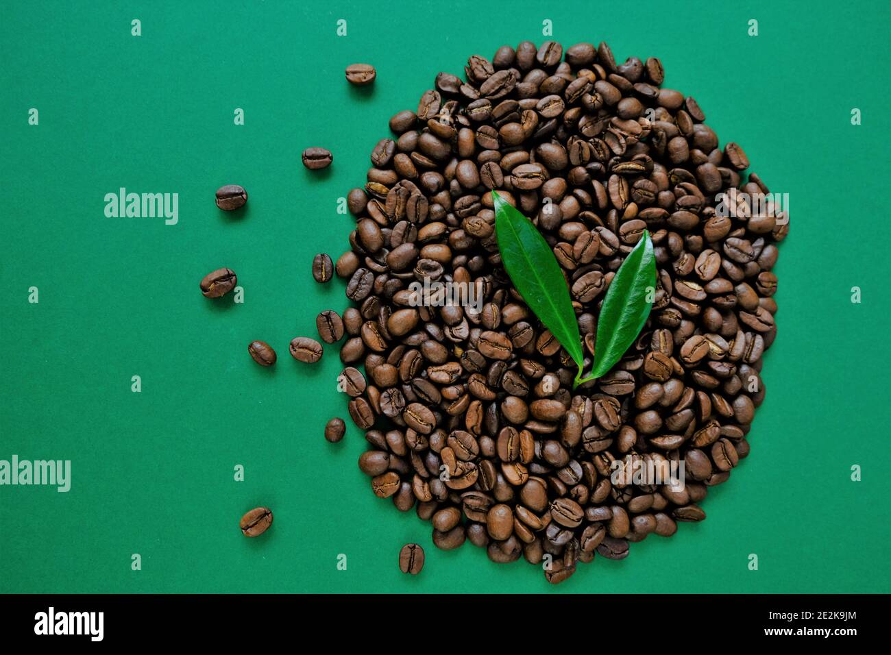 Chicchi di caffè e foglie verdi da vicino su sfondo verde. Caffè naturale biologico puro. Chicchi di caffè arrosto Foto Stock