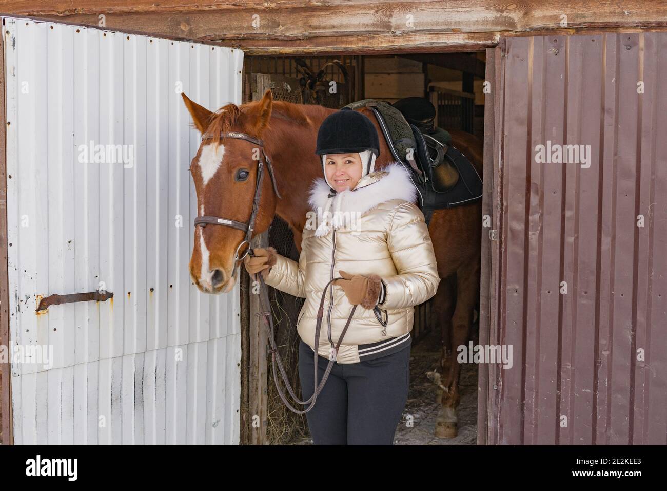 Un cavallo e una donna sorridente escono dal fienile. Il cavaliere guida il cavallo dalla briglia. Il pilota è vestito con calore. Inverno. Foto Stock