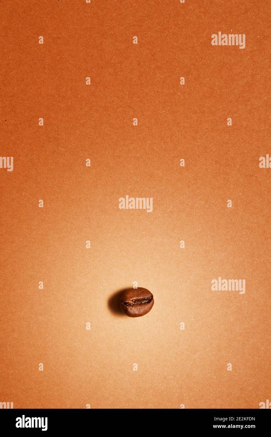 un seme di caffè, minimalismo grafico Foto Stock