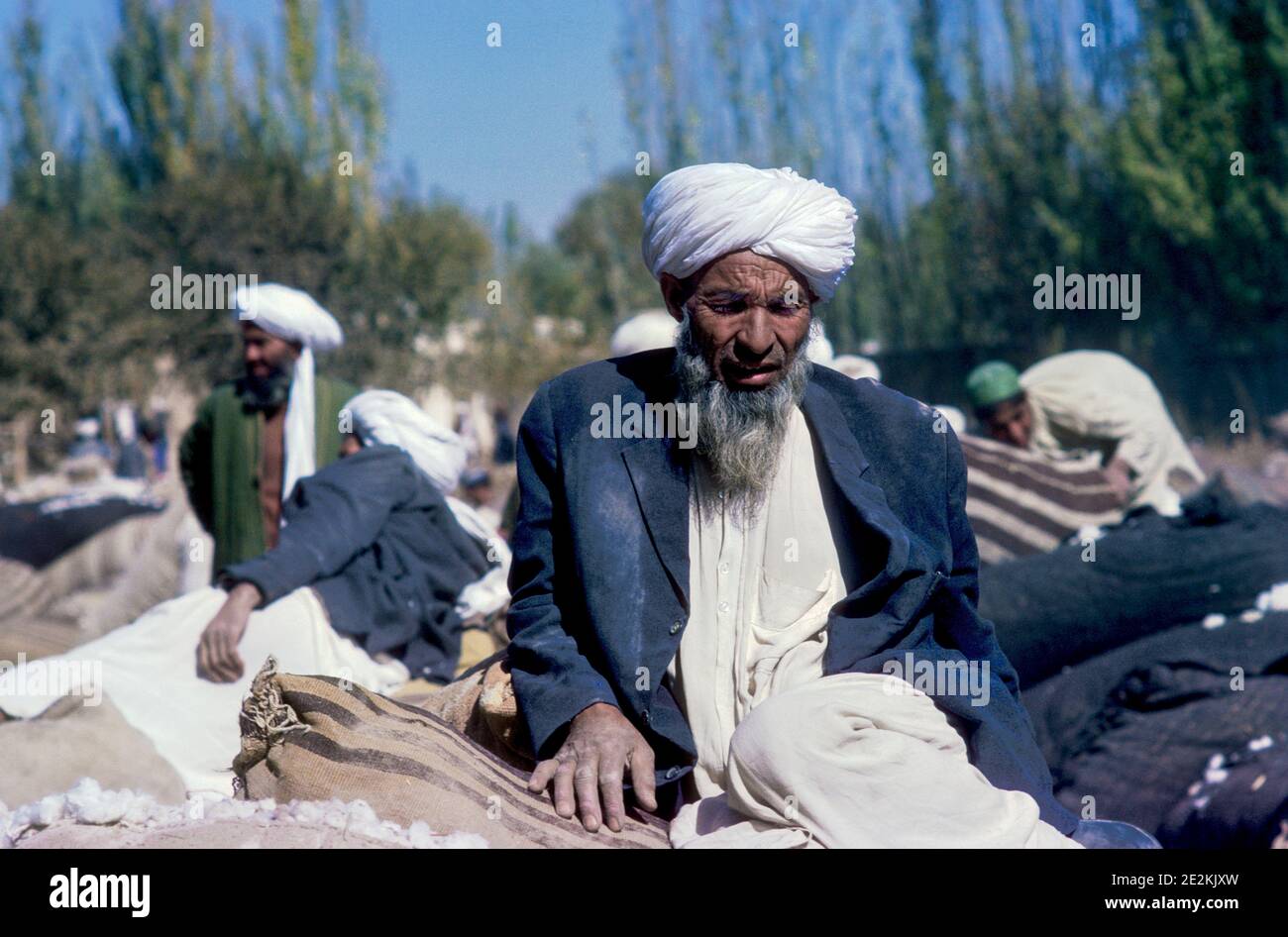 Afghano mercato agricolo di cotone Afghanistan settentrionale Afghanistan Foto Stock