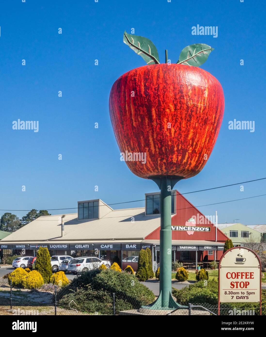 La grande mela di Vincenzo nella zona frutticola di Thulimbah, vicino a Stanthorpe, nella regione meridionale di Downs, nel Queensland sudorientale, in Australia Foto Stock