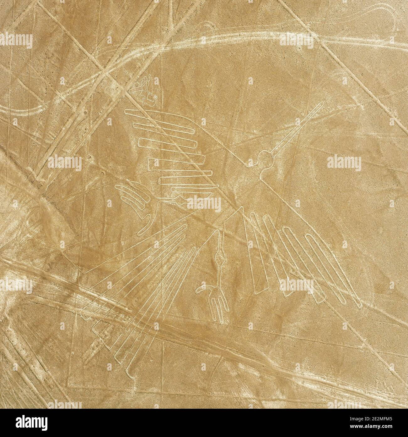 Vista aerea del disegno del geoglifico del condor nel deserto costiero peruviano conosciuto come le linee misteriose di Nazca vicino alla città di Nazca, Perù. Foto Stock