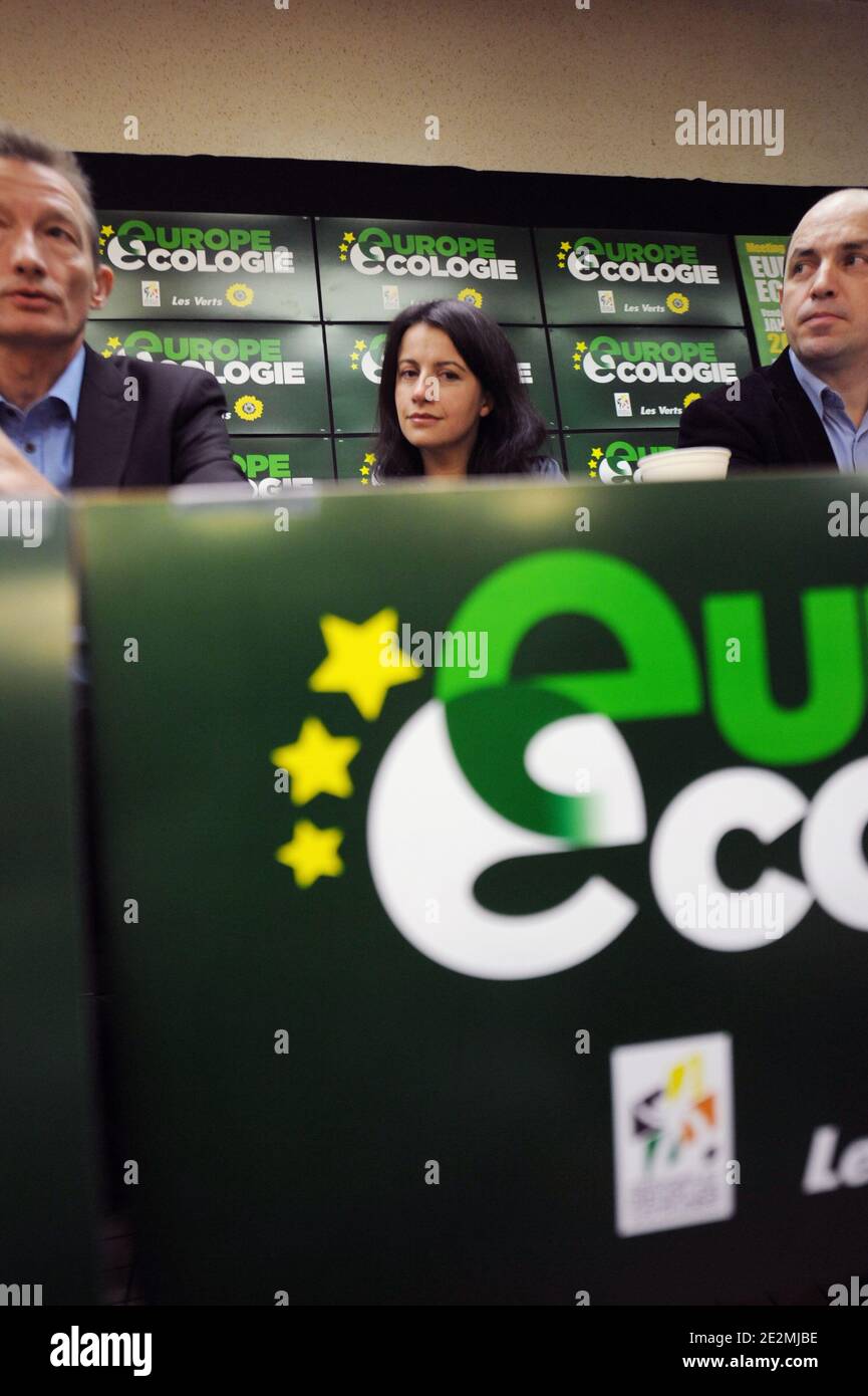 Cecile Duflot, segretario nazionale del Partito Verde Francese, partecipa il 29 gennaio 2010 ad un incontro del Partito europeo Ecologie per le elezioni regionali a Lens, Francia del Nord. Foto di Farid Alouache/ABACAPRESS.COM Foto Stock