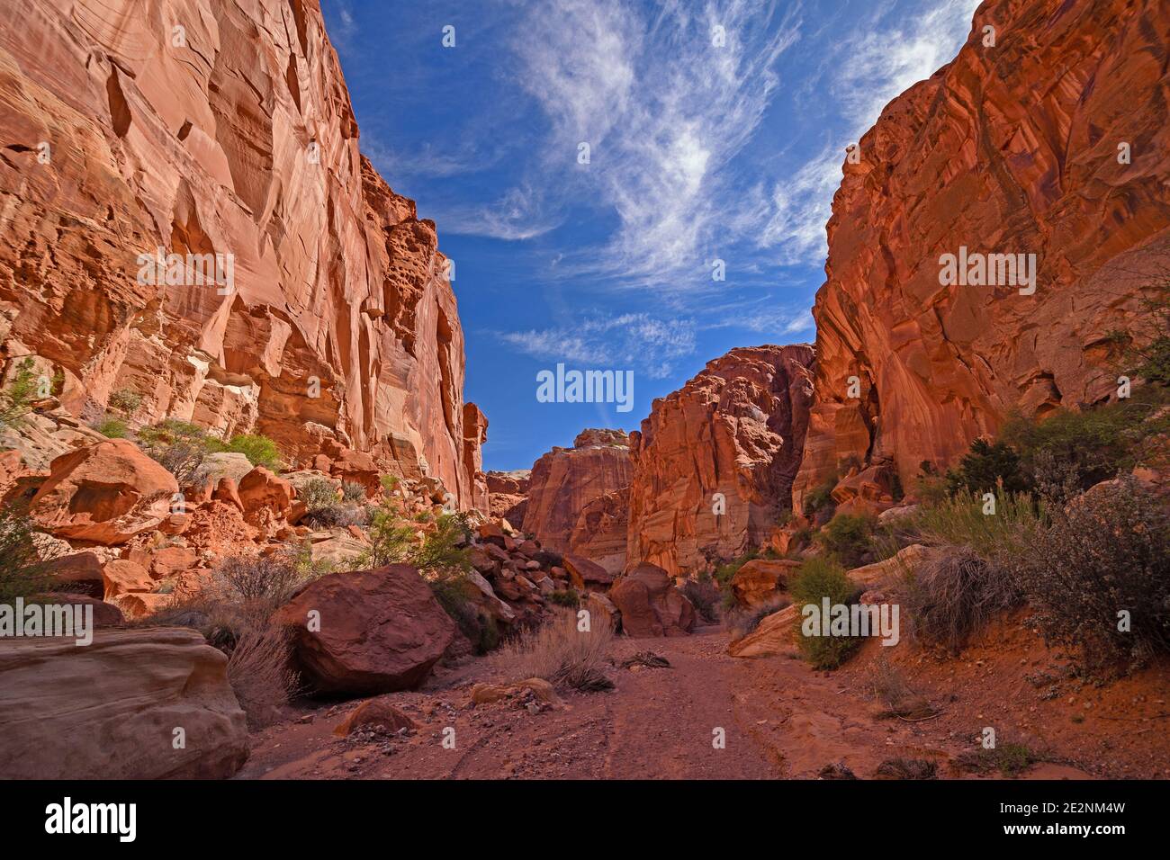 Sole e ombra in un profondo Canyon in Capitol Reef Parco nazionale dello Utah Foto Stock