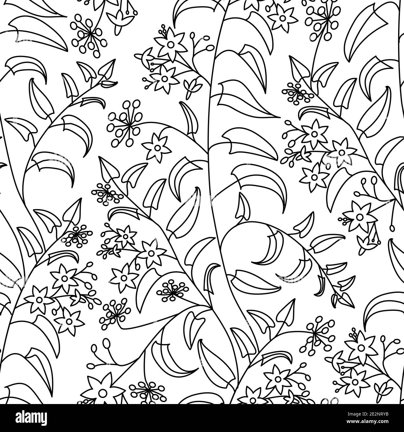 Ombra notturna. Motivo decorativo floreale. . Motivo senza giunture su uno sfondo bianco isolato Illustrazione Vettoriale