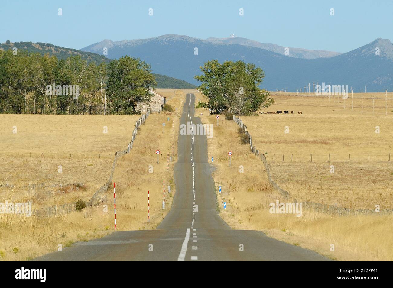 Strada secondaria tra El Espinar (Segovia) e Ávila. Foto Stock