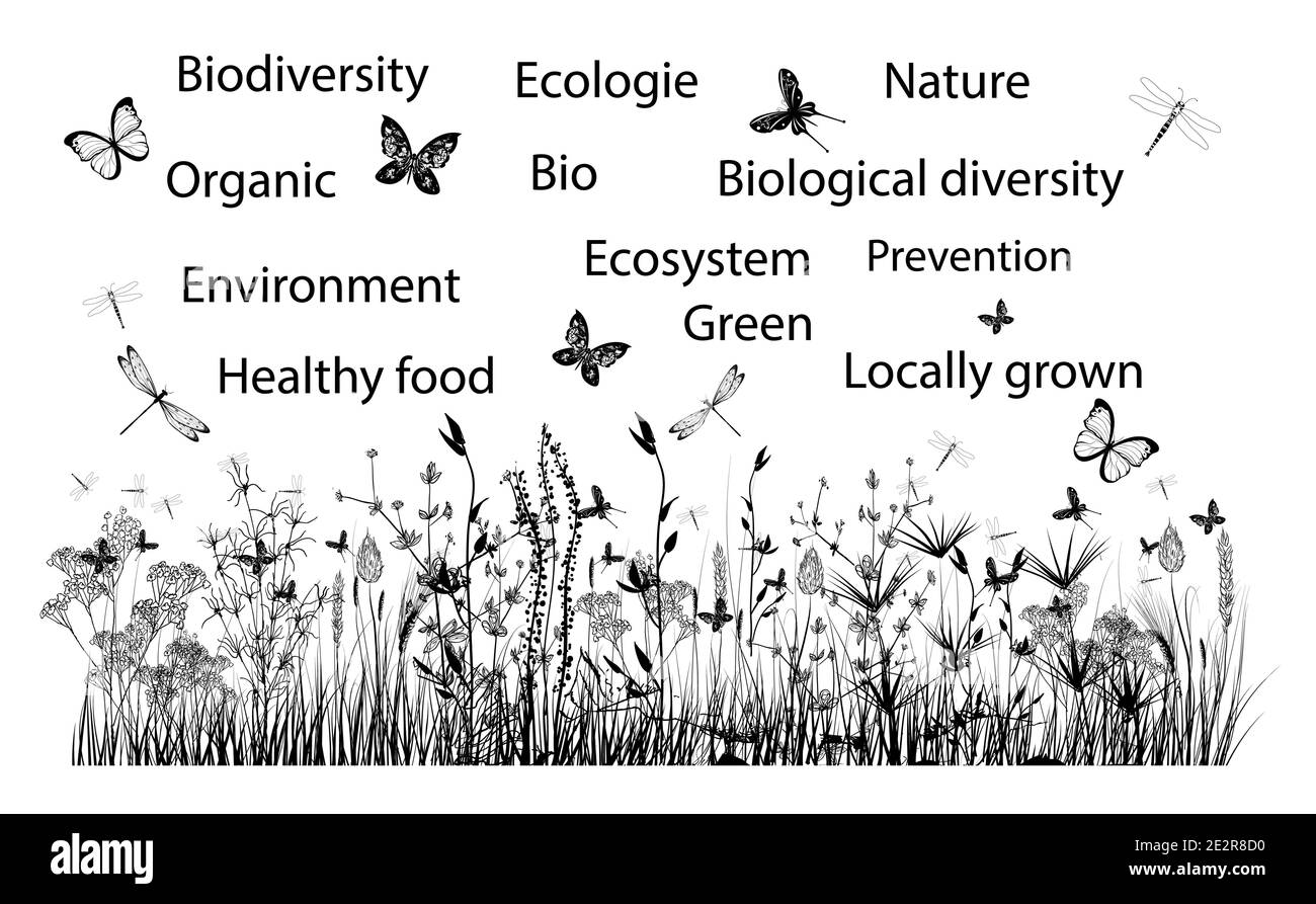 Ambiente della biosfera, biodiversità, illustrazione del tema dell'ecologia - illustrazione vettoriale (ideale per la stampa su tessuto o carta, poster o carta da parati, hou Illustrazione Vettoriale