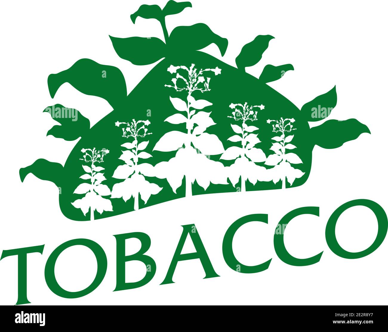 Logo vettoriale per prodotti naturali del tabacco, merci Illustrazione Vettoriale