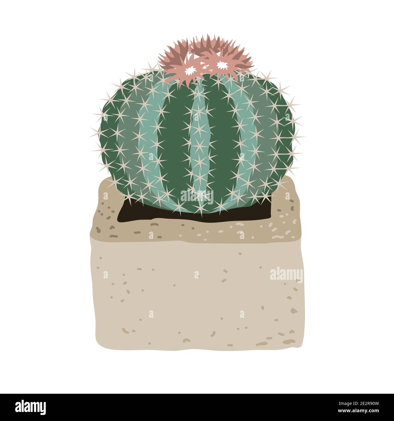 Carino cactus con fiori rosa in una pentola di cemento. Illustrazione vettoriale isolata su sfondo bianco. Illustrazione Vettoriale