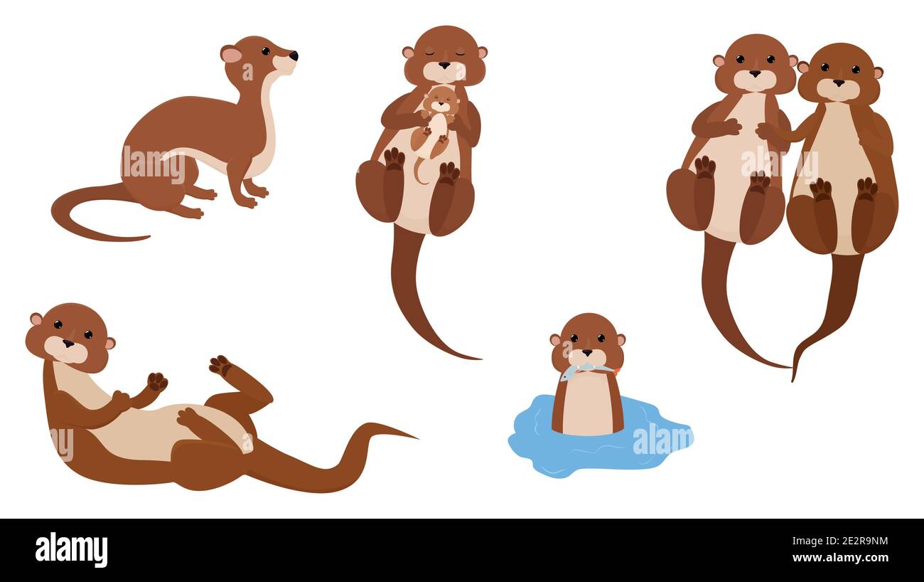 Carino cartone animato lontre mascotte set, divertente acqua animale personaggio vettore Illustrazione su sfondo bianco Illustrazione Vettoriale