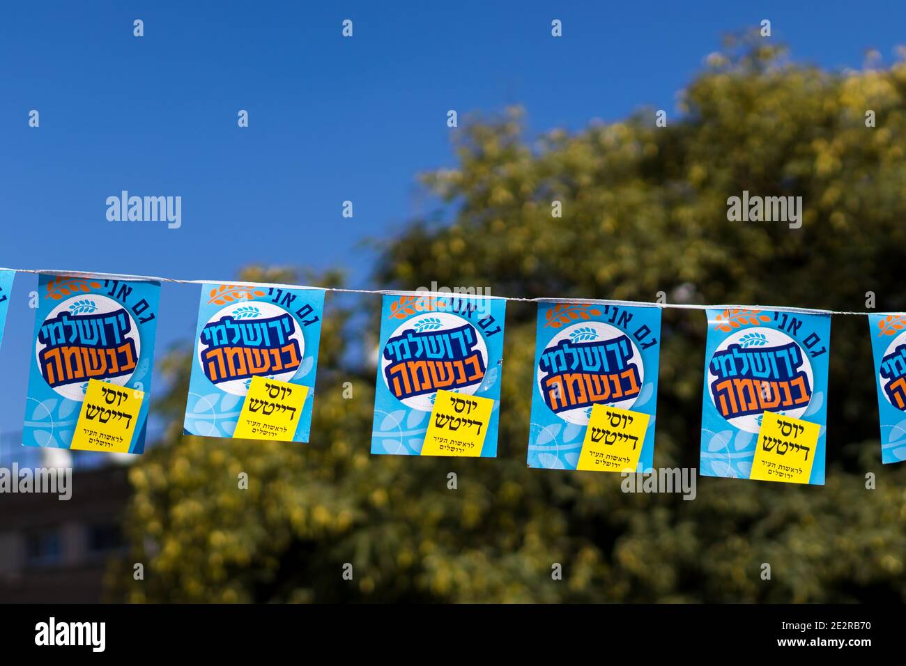 Annunci per l'elezione mayoral di Gerusalemme, appeso su un albero. Foto Stock
