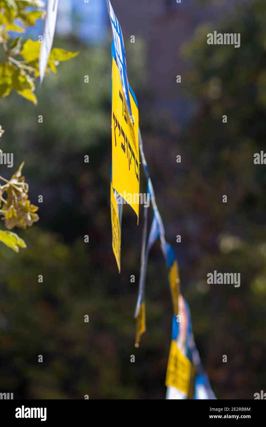 Annunci per l'elezione mayoral di Gerusalemme, appeso su un albero. Foto Stock