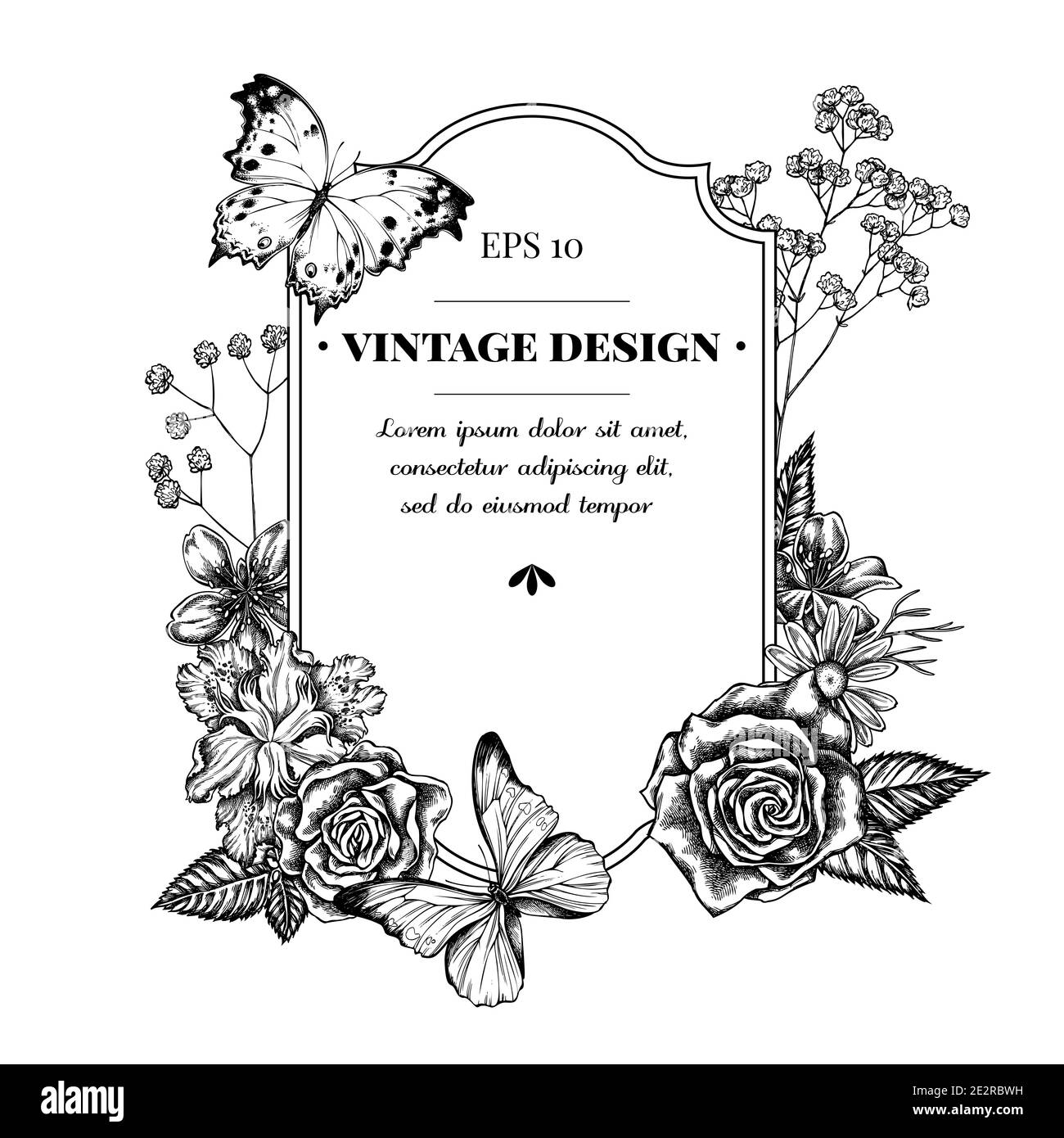 Design distintivo con iris japonica bianco e nero, gypsofila, camomilla, mandorla, morfo blu, madreperla forestale, rose Illustrazione Vettoriale