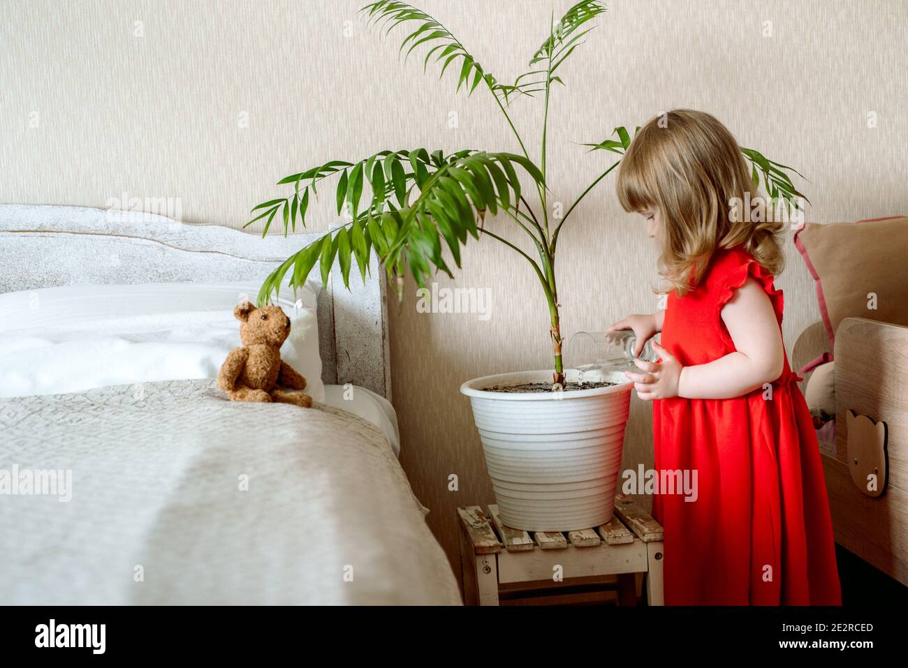 Carino ragazza del bambino dei capelli rossi nella camera da letto che innaffia una pianta della casa in un letto vicino al letto. Cura esotica della pianta, giardinaggio domestico Foto Stock
