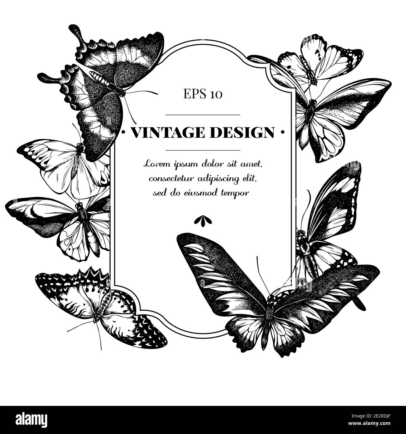 Design distintivo con grande punta arancione in bianco e nero, coda di rondine color smeraldo, regine della giungla, tigre semplice, ali di rajah brooke, papilio torquatus Illustrazione Vettoriale