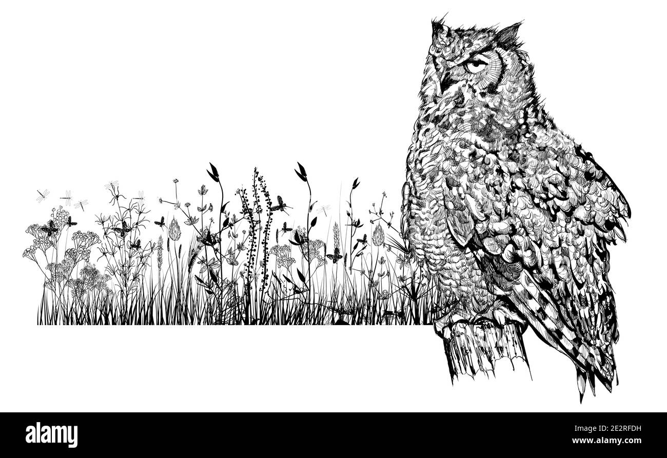 Gufo su palo, tema ecologico - illustrazione vettoriale (ideale per la stampa su tessuto o carta, poster o carta da parati, decorazione della casa) Illustrazione Vettoriale