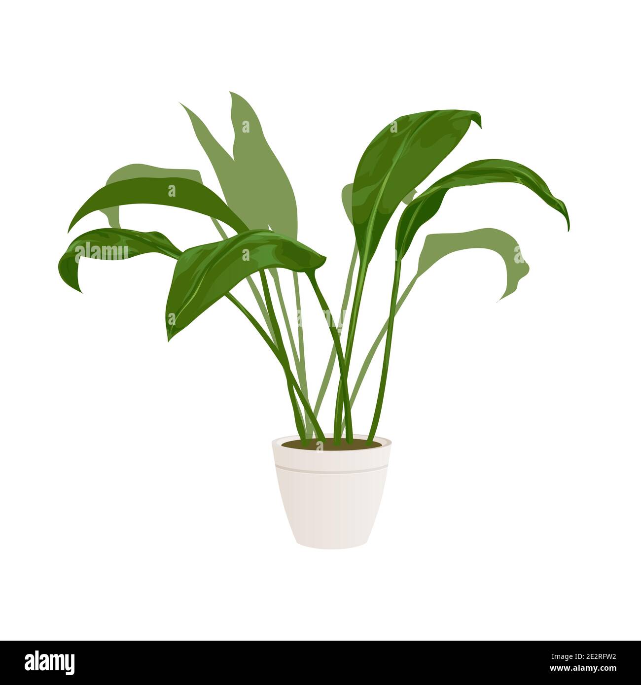 Impianto realistico per la casa o l'ufficio per il design e la decorazione di interni. Pianta tropicale ed esotica. Illustrazione vettoriale in stile minimalista Illustrazione Vettoriale