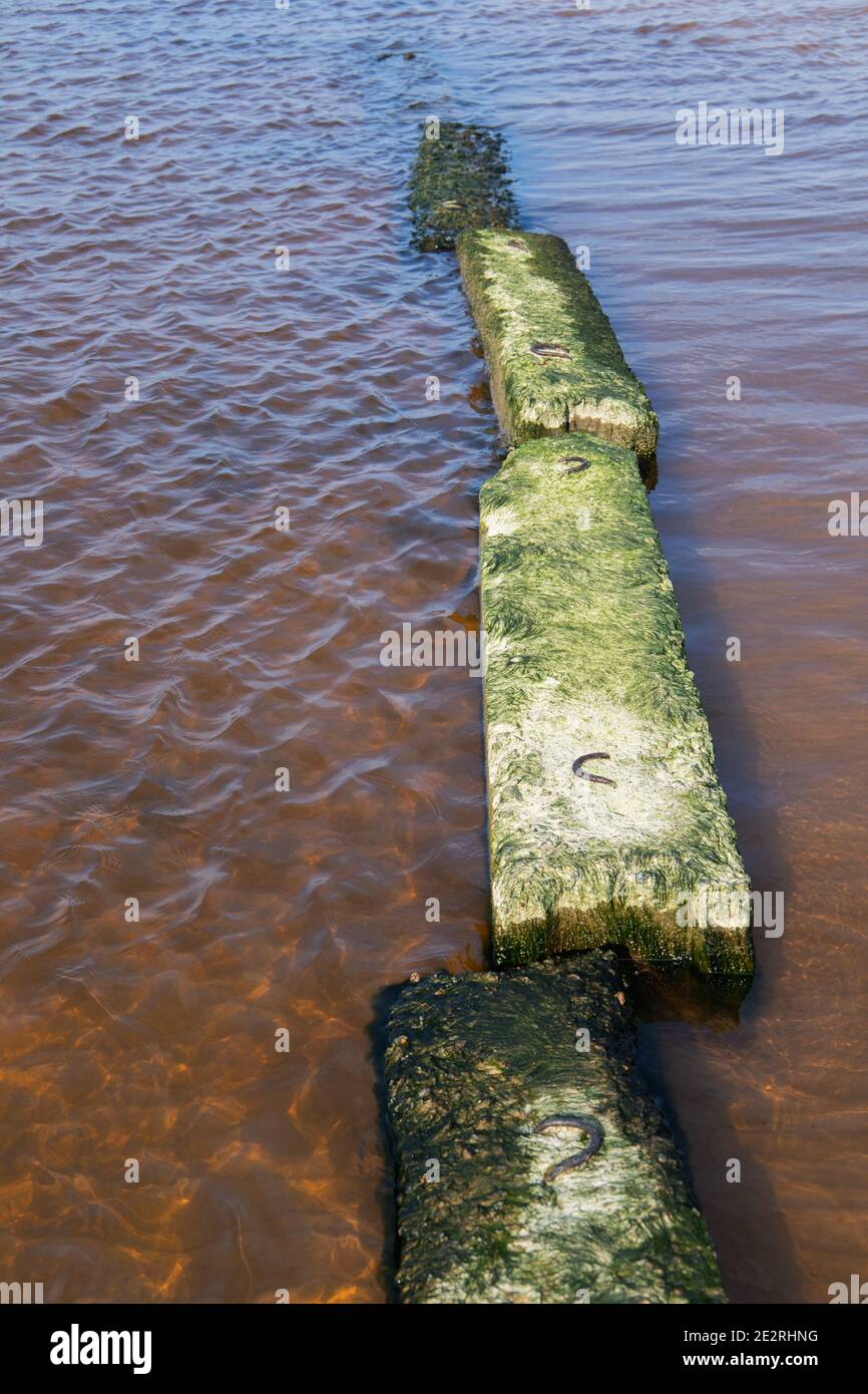 Blocchi di molo in cemento rotto coperti di alga sul Costa del Golfo di Finlandia Foto Stock