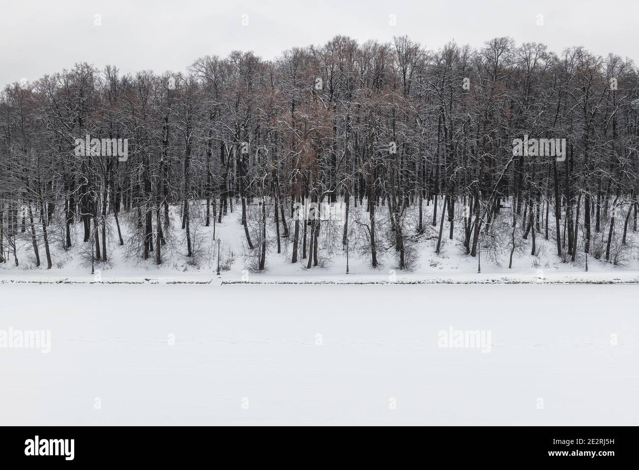 Splendido paesaggio invernale con alberi innevati e lago nel parco invernale. Foto Stock
