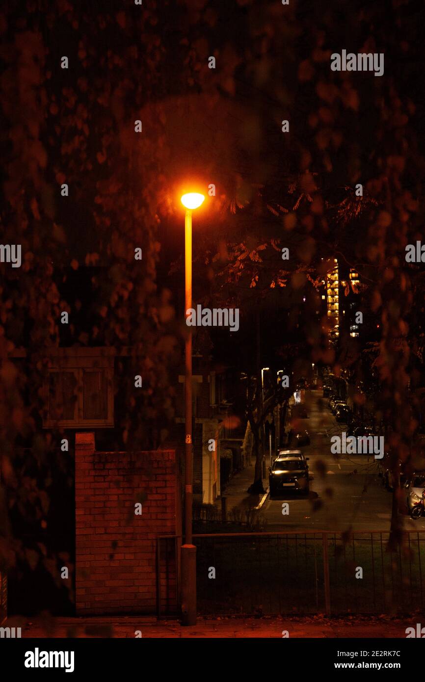 Nighttime Street Scene Through Trees, Battersea - Londra UK Foto Stock