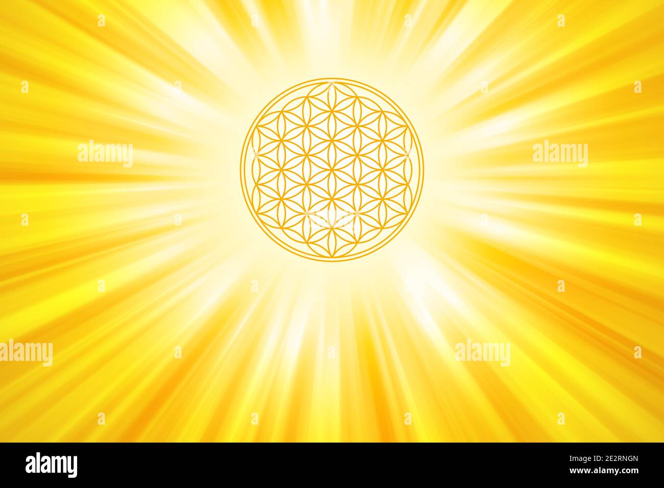 Fiore d'oro della vita con i raggi di sole sfondo. Figura geometrica composta da più cerchi sovrapposti che formano un motivo floreale. Un simbolo forte. Foto Stock
