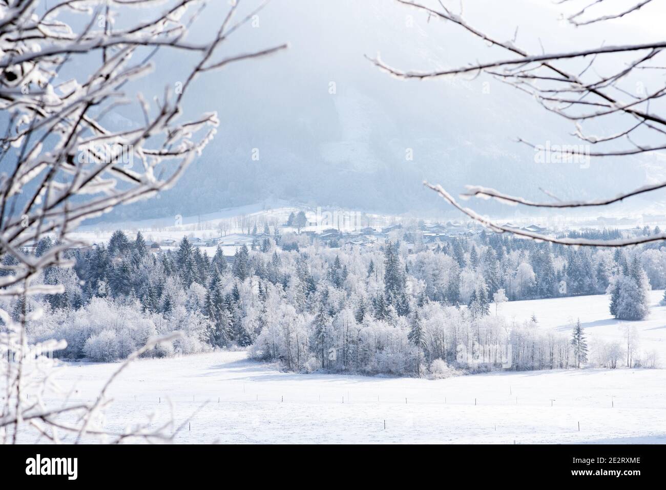Winterwonderland, Maishofen, Salisburgo, montagne, alberi neve, foresta Foto Stock