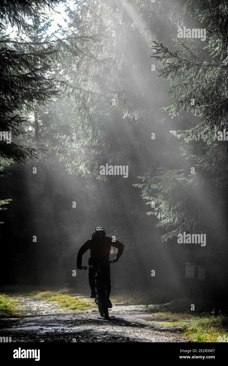 La luce del sole scorre attraverso gli alberi mentre un uomo corre su una mountain bike elettrica lungo una strada sterrata vicino a Innerleithen, confini scozzesi. ebike Scotland Foto Stock