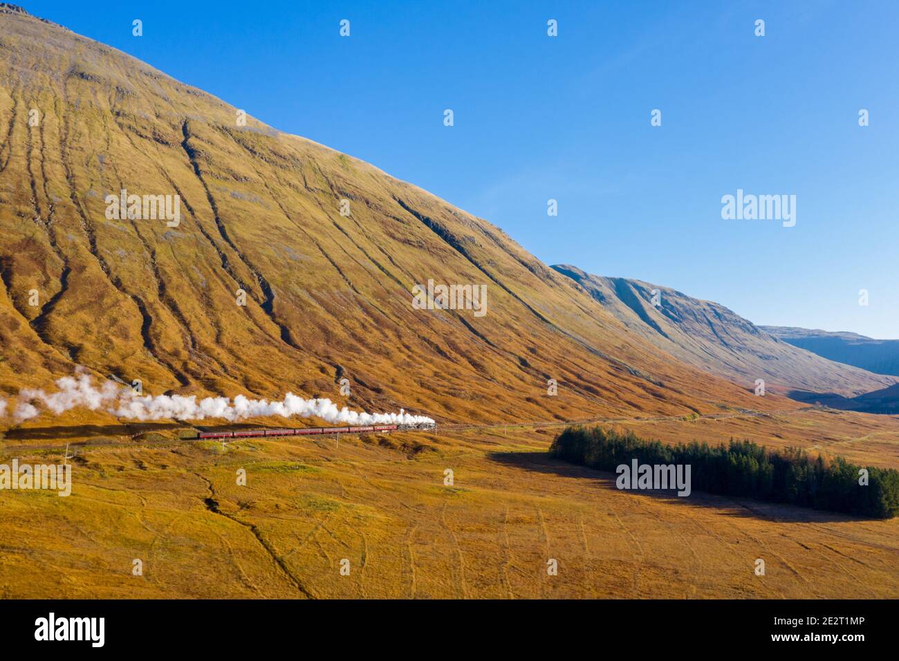 Treno a vapore Jacobite, West Highland Line, Scozia, Regno Unito Foto Stock