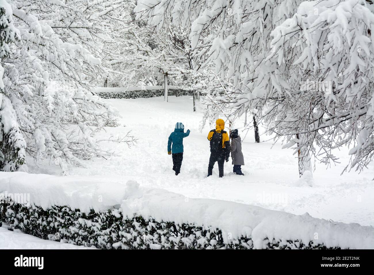 Famiglia felice in abiti invernali camminando in una città di parco innevato, stile di vita sano. Foto Stock