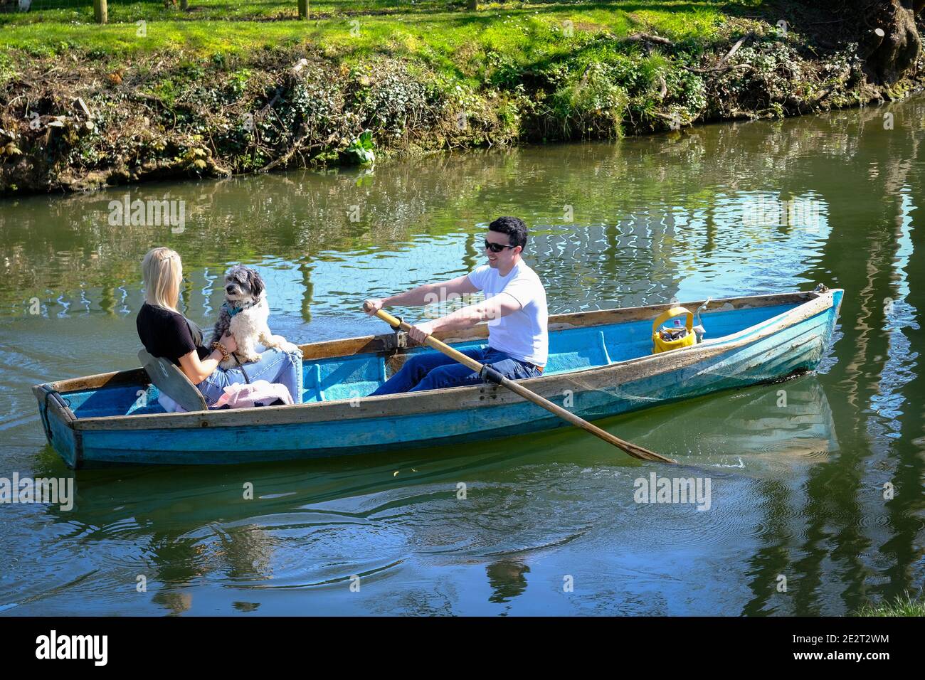 Accoppia con un cane in una barca a remi sul fiume Cherwell a Oxford, Regno Unito. Foto Stock